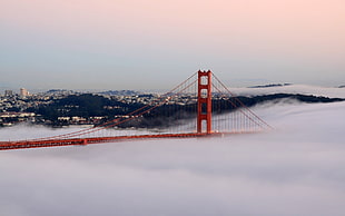 photography Golden Gate, San Francisco HD wallpaper
